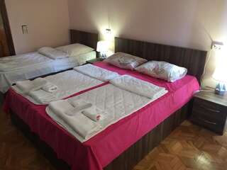 Отель Hotel Good Luck Кутаиси Трехместный номер с собственной ванной комнатой-6